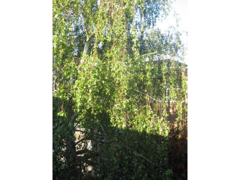 Unit 18/76-78 Edward St, Brunswick VIC 3056