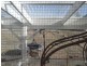 Murchison North VIC 3610