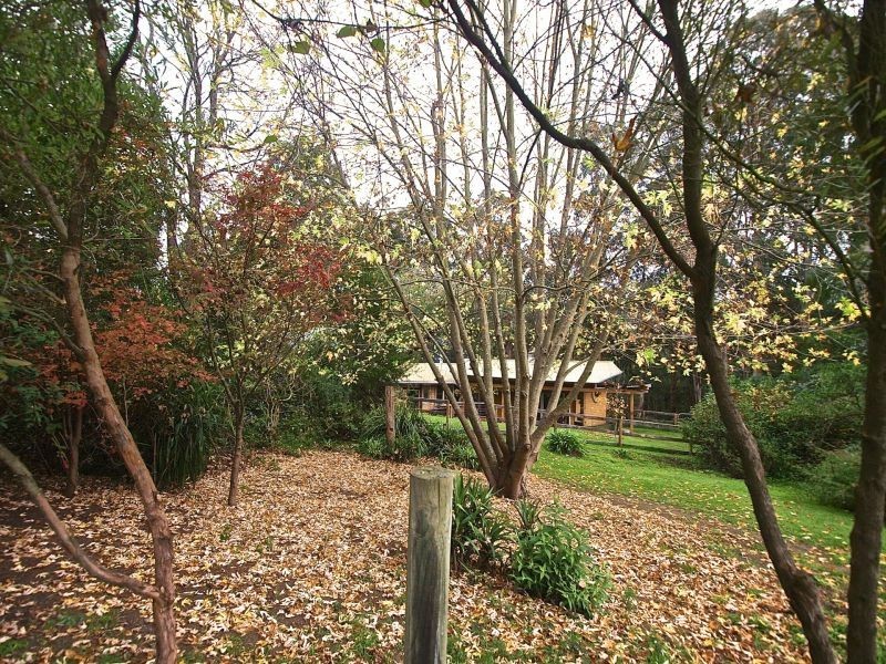 187 Allambee South Road, Thorpdale VIC 3835