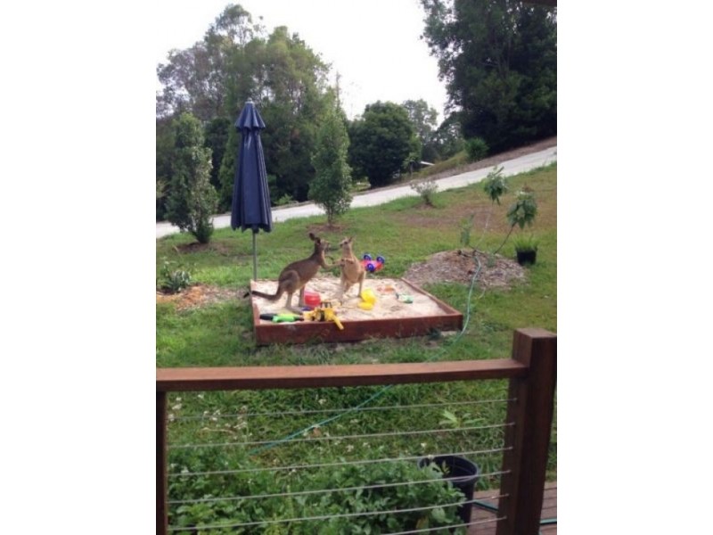 Currumbin Valley QLD 4223