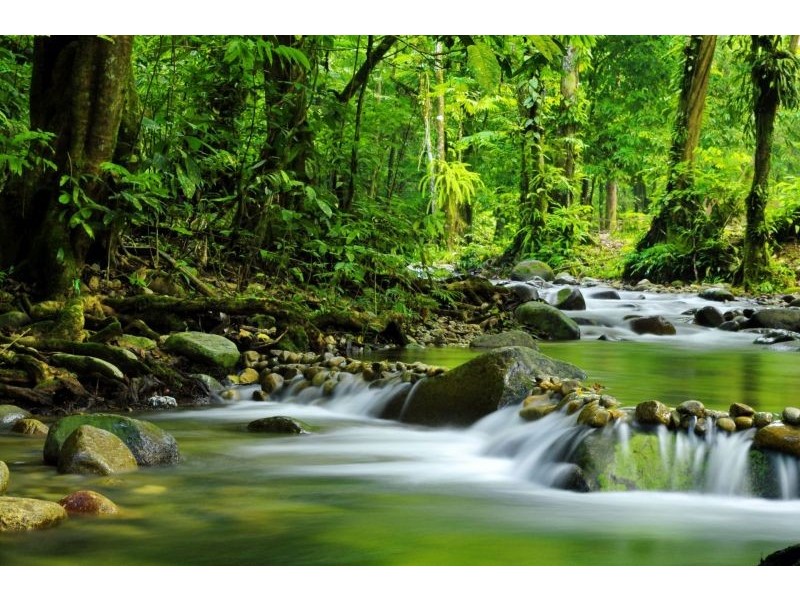 Currumbin Valley QLD 4223