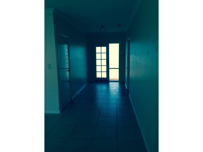 17 Ellard Avenue, Belmont WA 6104