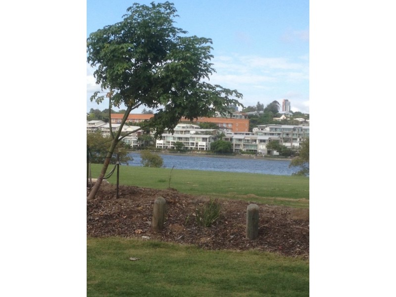 14/48 Addison Ave, Bulimba QLD 4171