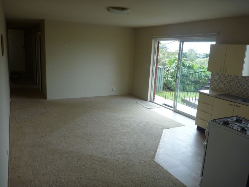 49b Mary Street, Beacon Hill NSW 2100