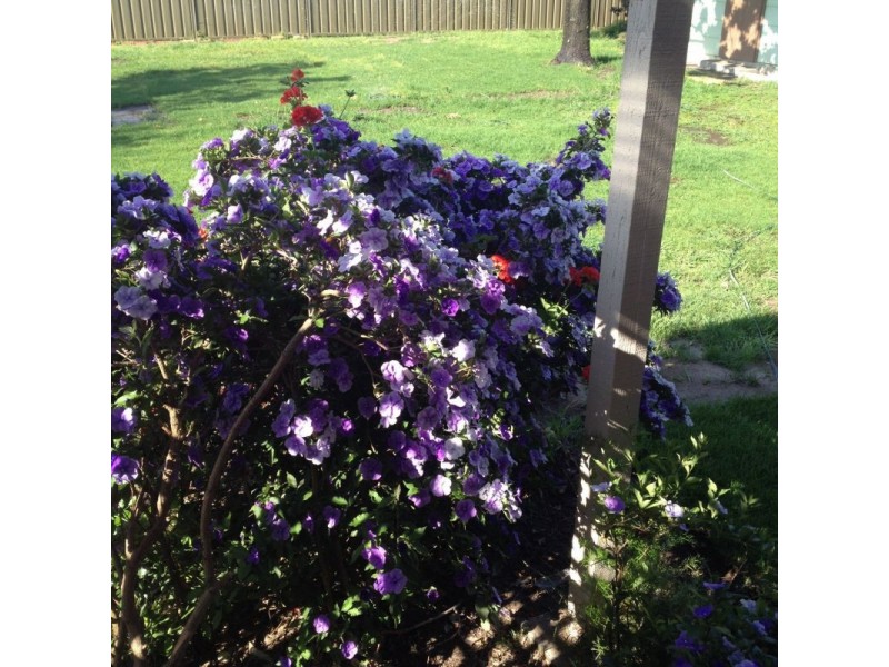 24 Chesterfield Road, South Penrith NSW 2750