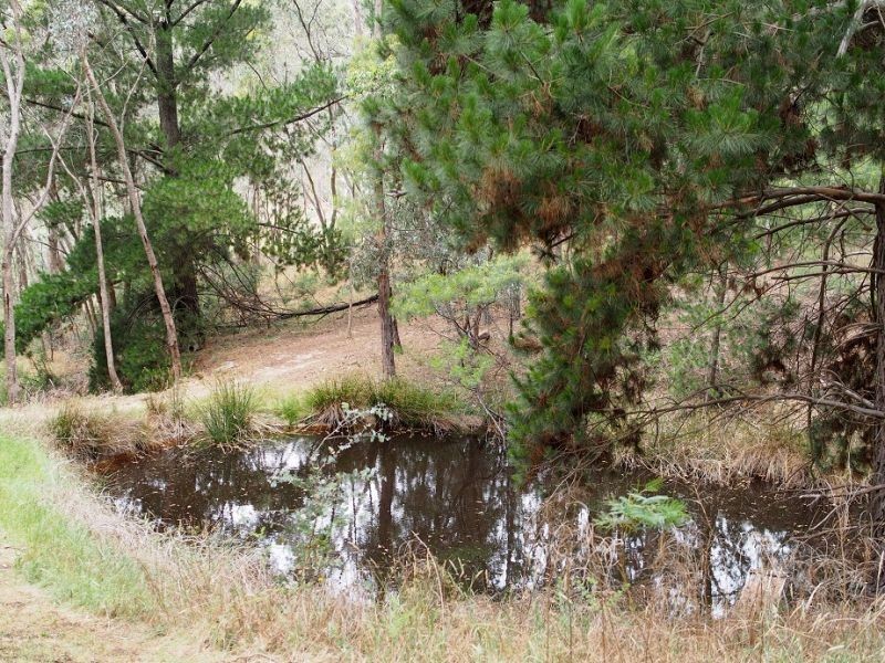 13 Western Avenue, Hepburn VIC 3461