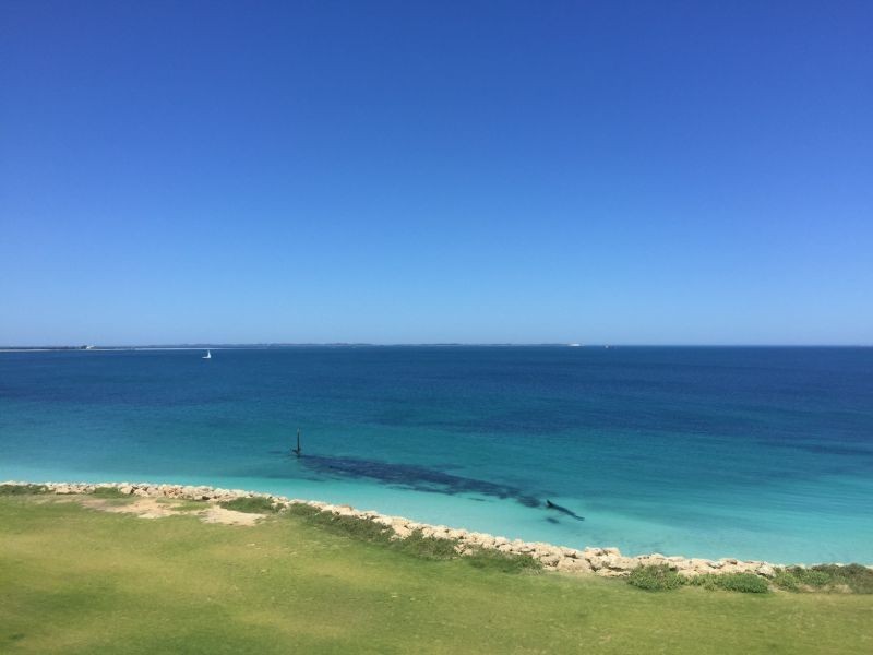 85/37 Orsino Blvd, North Coogee WA 6163