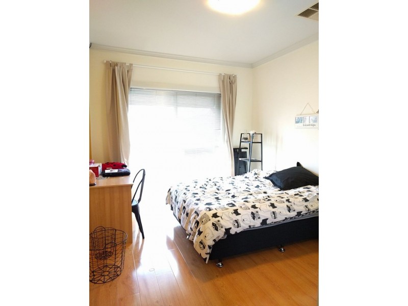 52 Grasswren, Mawson Lakes SA 5095