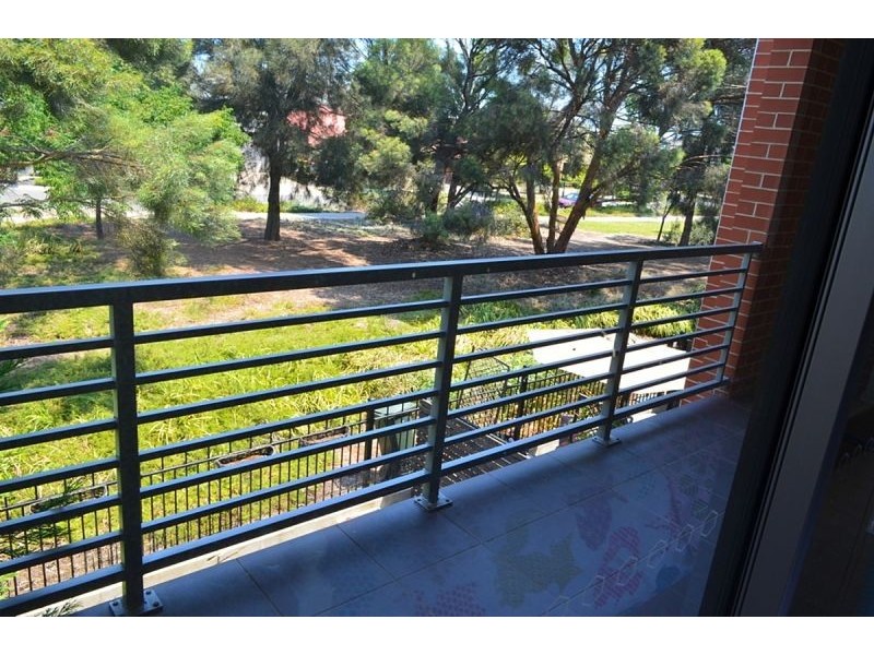 52 Grasswren, Mawson Lakes SA 5095