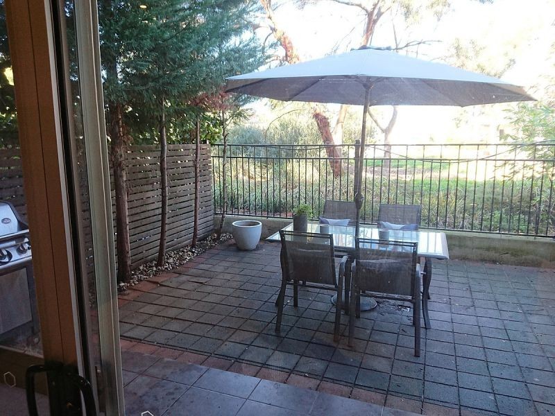 52 Grasswren, Mawson Lakes SA 5095