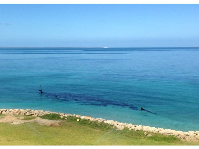 42 Socrates Parade, North Coogee WA 6163