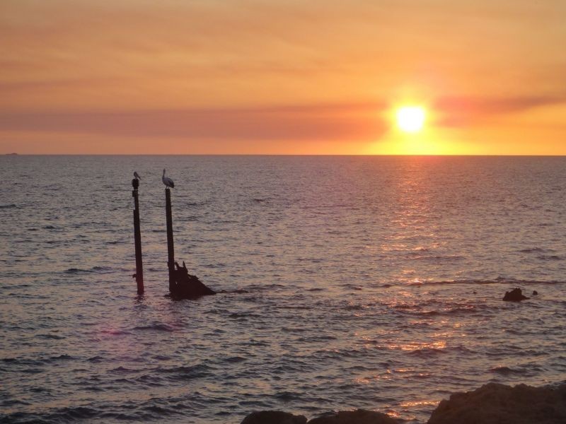 42 Socrates Parade, North Coogee WA 6163