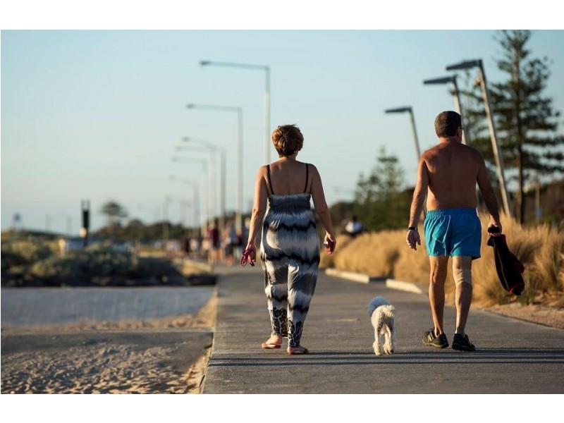 14B Vautier St, Elwood VIC 3184