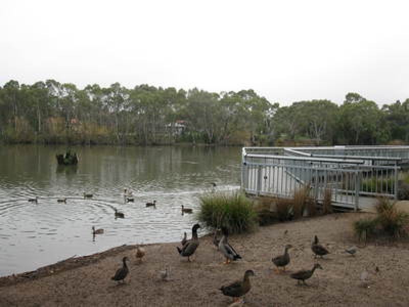 7 Reisling Road, Wynn Vale SA 5127