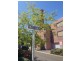 13 Florey Place, Adelaide SA 5000