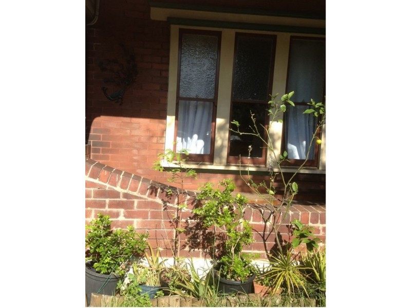 39 Tebbutt Street, Leichhardt NSW 2040