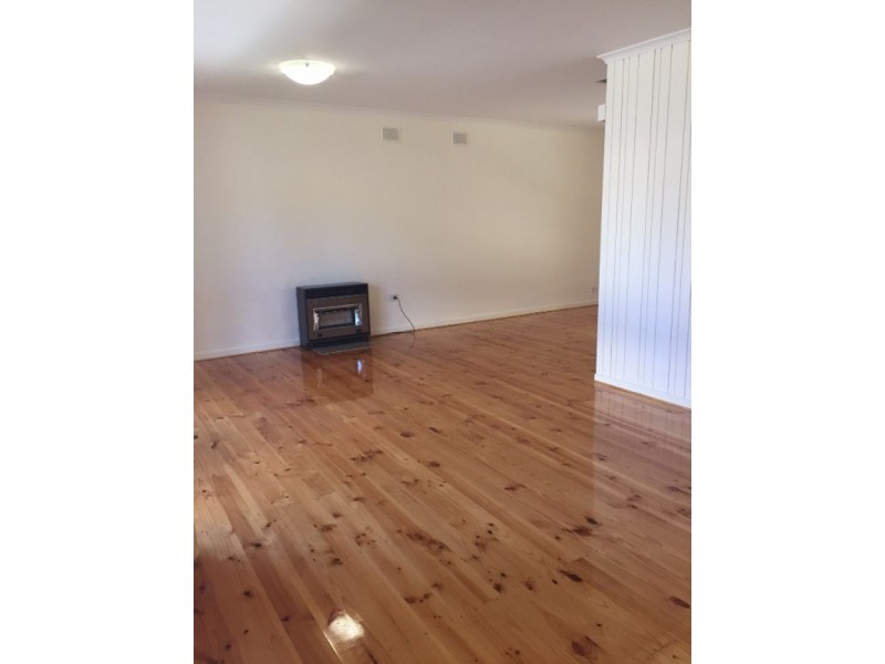 59 Joycelyn Avenue, Surrey Downs SA 5126