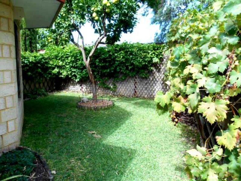 46a Farley Way, Bayswater WA 6053