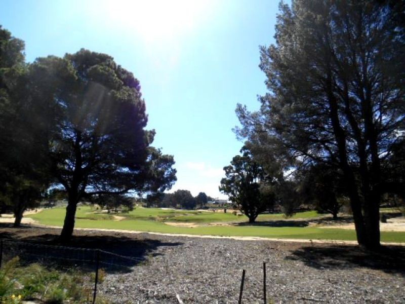 21 Whitecap Street, Yanchep WA 6035