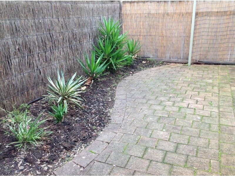 2/329 Gilles St, Adelaide SA 5000