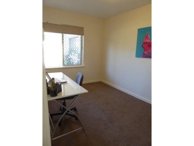 1/16 Edeline Street, Spearwood WA 6163