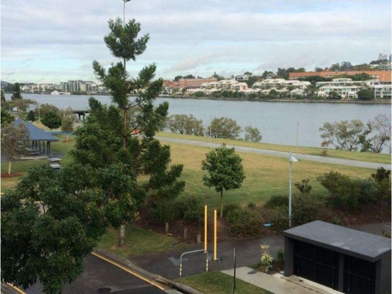 19/46 Addison Avenue, Bulimba QLD 4171