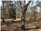 Tp/767860e Mortons Lane, Waanyarra VIC 3551