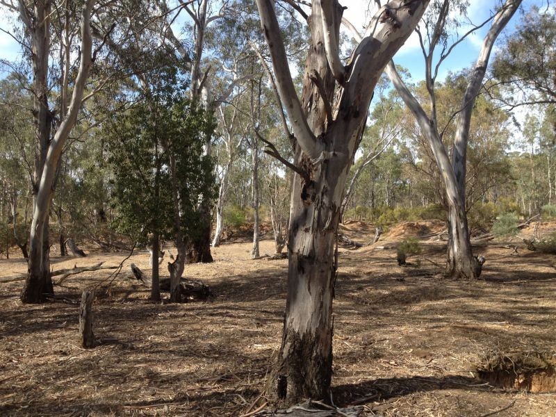 Tp/767860e Mortons Lane, Waanyarra VIC 3551