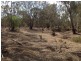 Tp/767860e Mortons Lane, Waanyarra VIC 3551