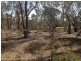 Tp/767860e Mortons Lane, Waanyarra VIC 3551