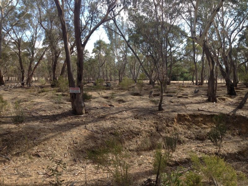 Tp/767860e Mortons Lane, Waanyarra VIC 3551