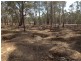 Tp/767860e Mortons Lane, Waanyarra VIC 3551