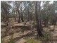 Tp/767860e Mortons Lane, Waanyarra VIC 3551