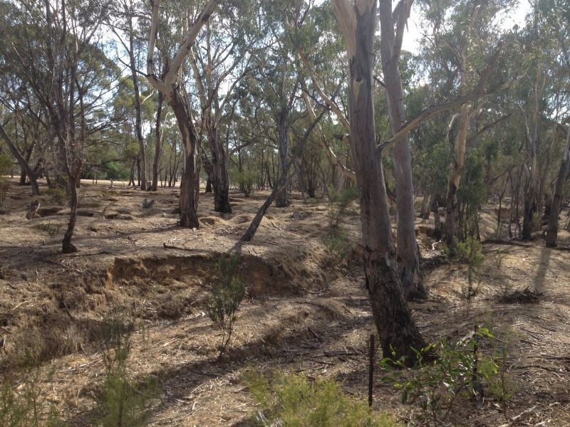 Tp/767860e Mortons Lane, Waanyarra VIC 3551