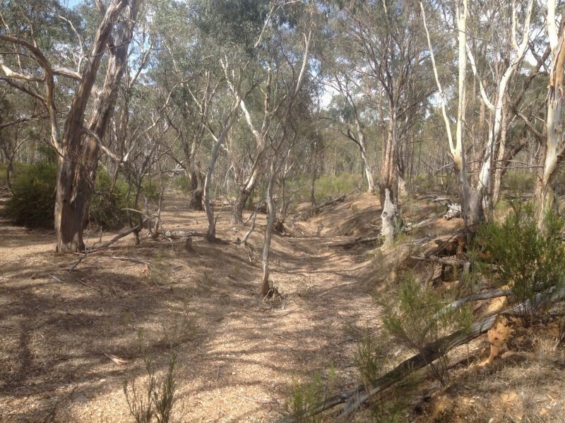 Tp/767860e Mortons Lane, Waanyarra VIC 3551