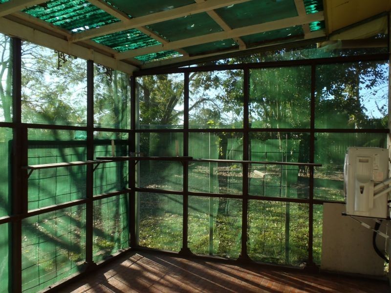 31 Dunkeld Street, Acacia Ridge QLD 4110