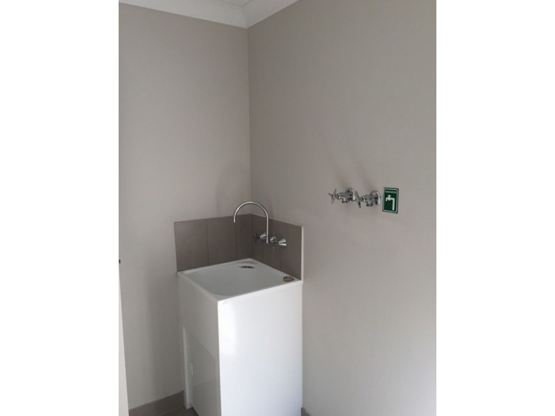 172 Alawoona Street, Redbank Plains QLD 4301