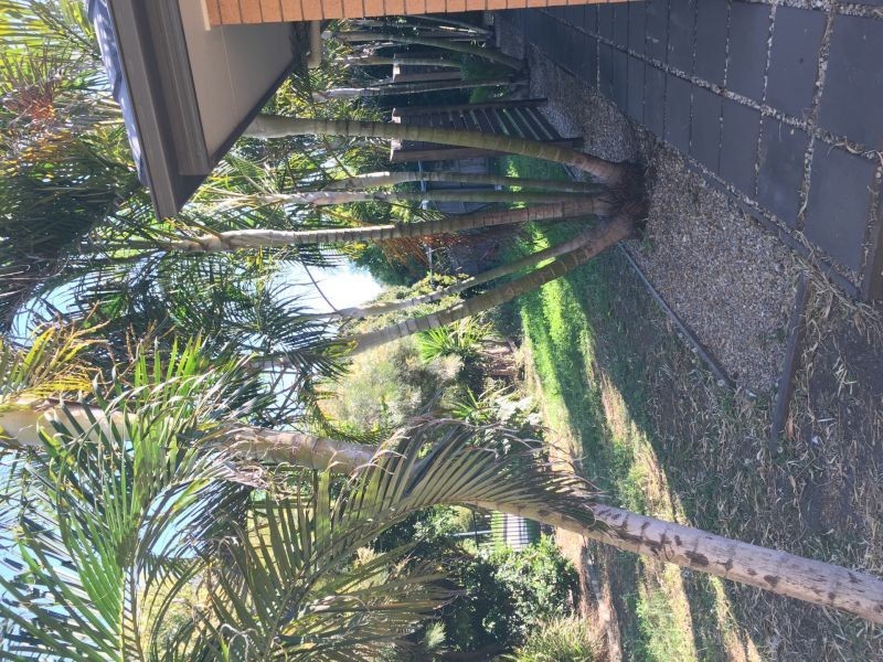 172 Alawoona Street, Redbank Plains QLD 4301