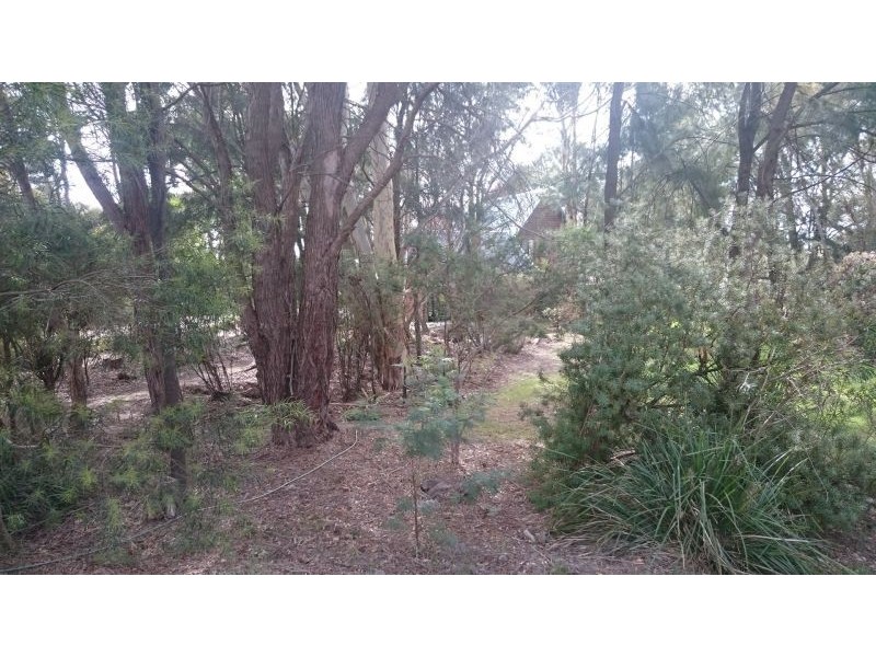 23 Rowan Ave, Uralla NSW 2358