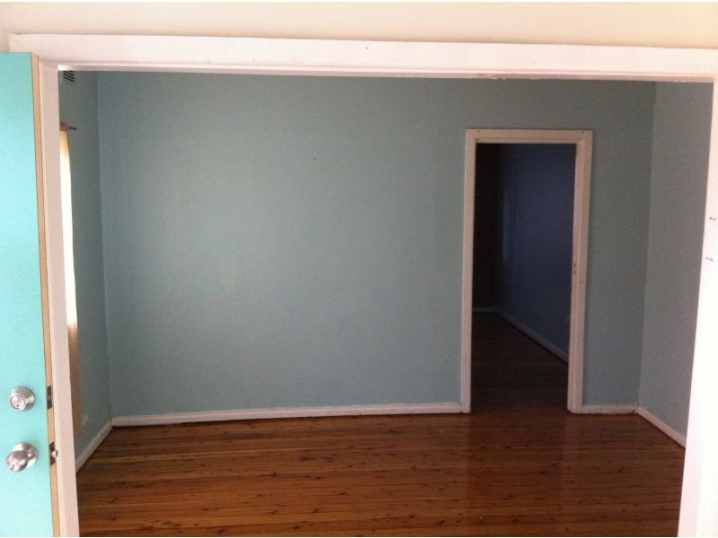 3 Cleary Pl, Blackett NSW 2770