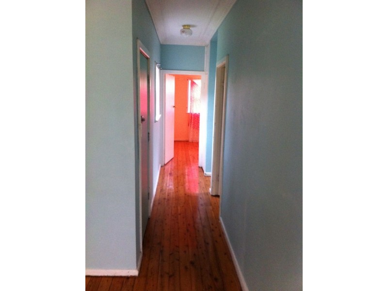 3 Cleary Pl, Blackett NSW 2770