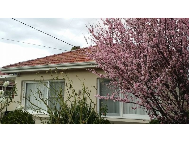 North Strathfield NSW 2137