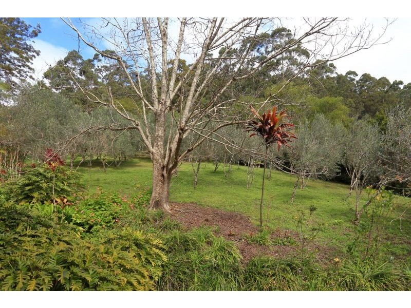 398 Harpers Creek Road, Conondale QLD 4552