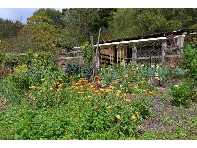 398 Harpers Creek Road, Conondale QLD 4552