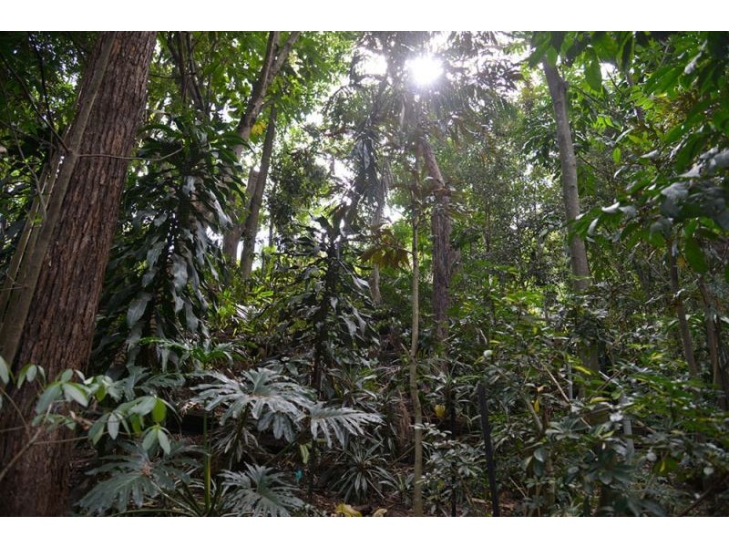 47 Rachael St, Moorooka QLD 4105