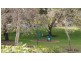 7/9 Violet St, West Perth WA 6005