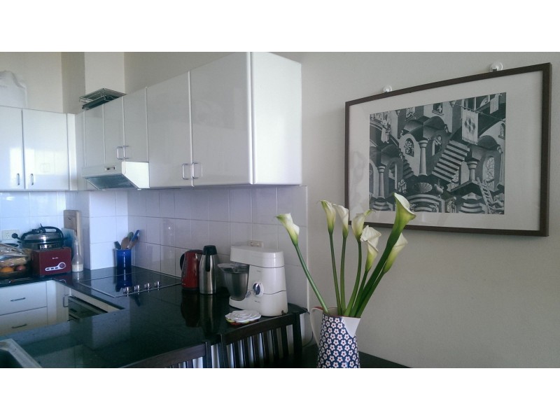 1002/71-75 Regent Street, Chippendale NSW 2008