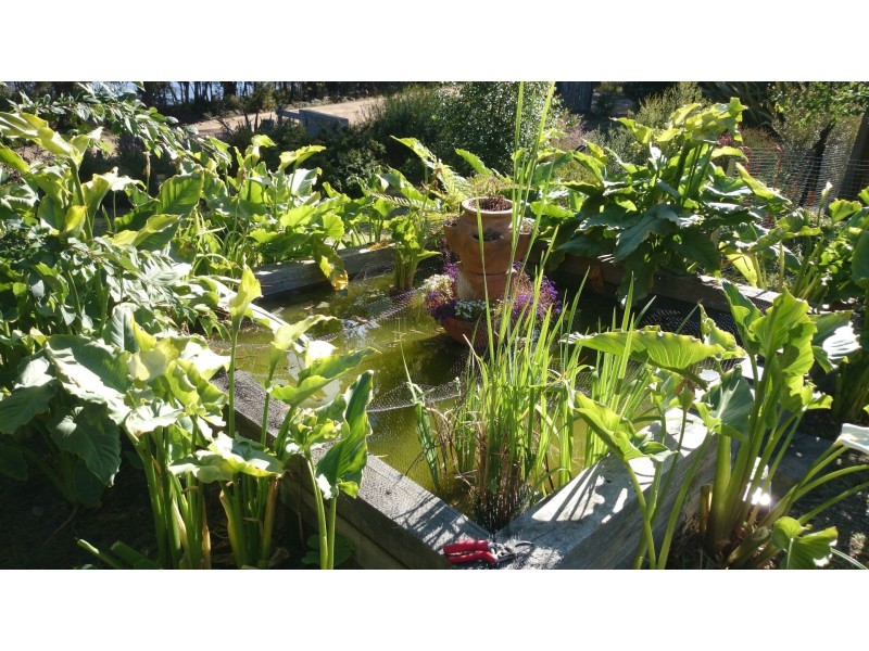 427 Abels Bay Rd, Abels Bay TAS 7112