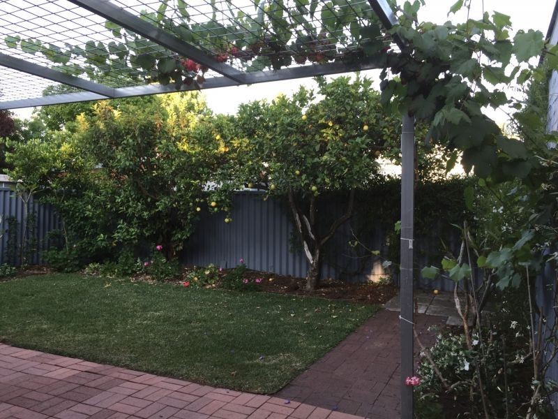 70 Murchison St, Shenton Park WA 6008