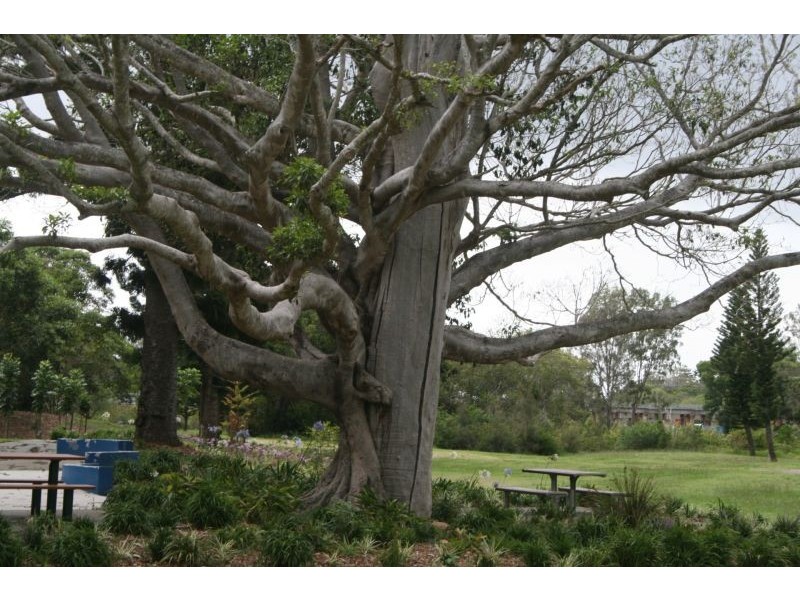 9 Houghton Street, Petrie QLD 4502